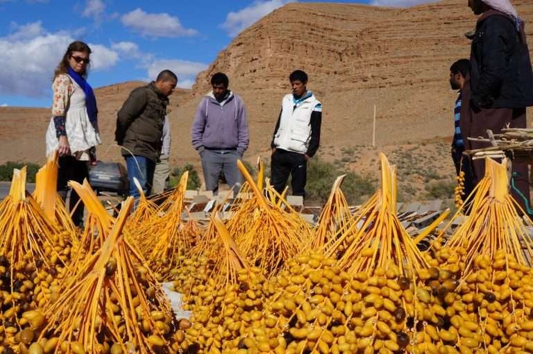 Erfoud Date Festival Listival 768x510