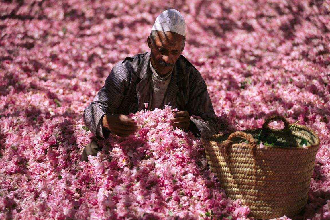 Kelaat MGouna Rose Festival 2 Listival