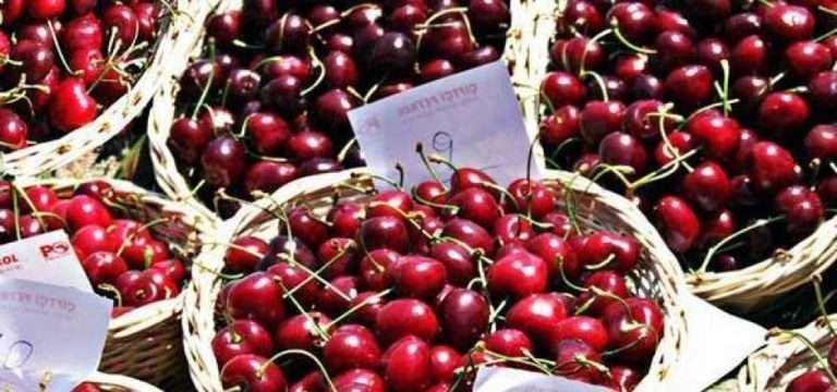 Sefrou Cherry Festival Listival 768x360
