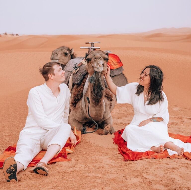 286062973 2954391294859144 5044476142425391640 n 768x767