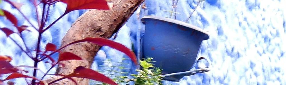 User banner image
