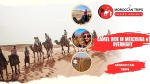 additional additional