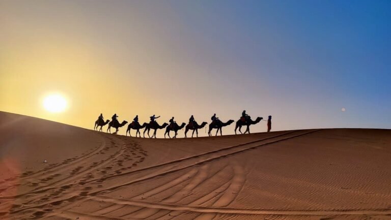 camel trek 768x433